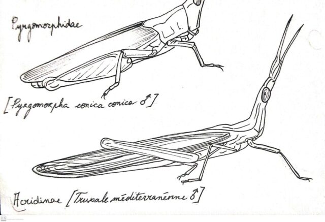 Nouveau document 2020-03-25 19.11.48_14