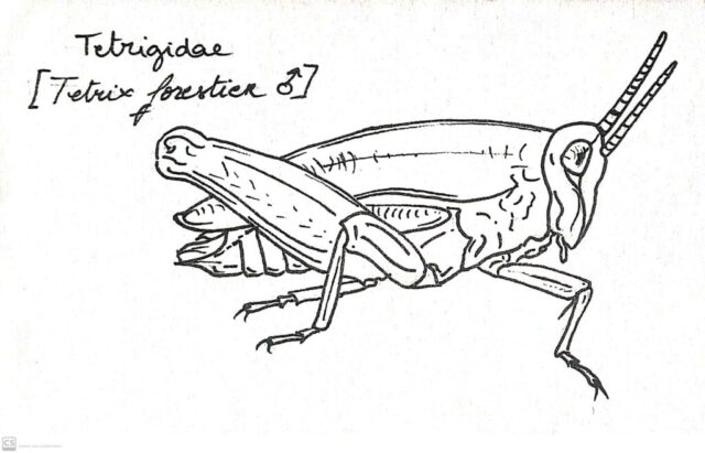 Nouveau document 2020-03-25 19.11.48_17